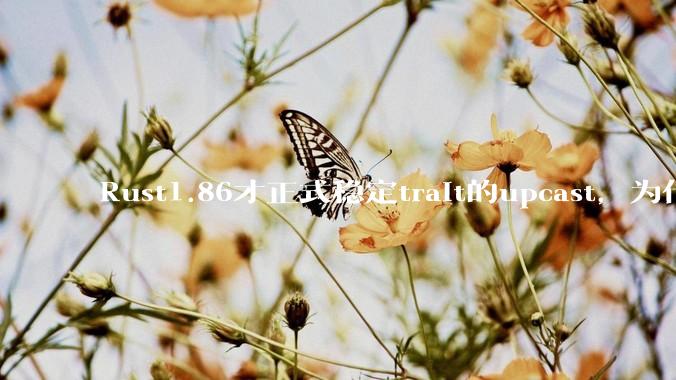 Rust1.86才正式稳定trait的upcast，为什么在rust中这个特性实现如此复杂？