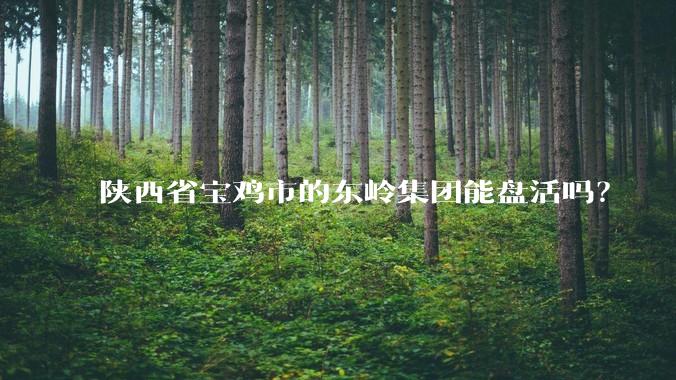 陕西省宝鸡市的东岭集团能盘活吗？