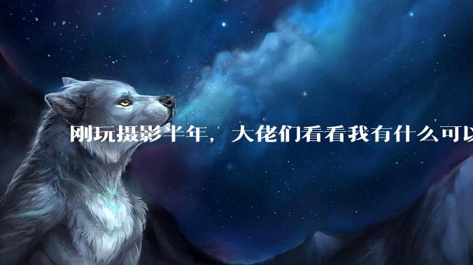 刚玩摄影半年，大佬们看看我有什么可以提升的地方吗?