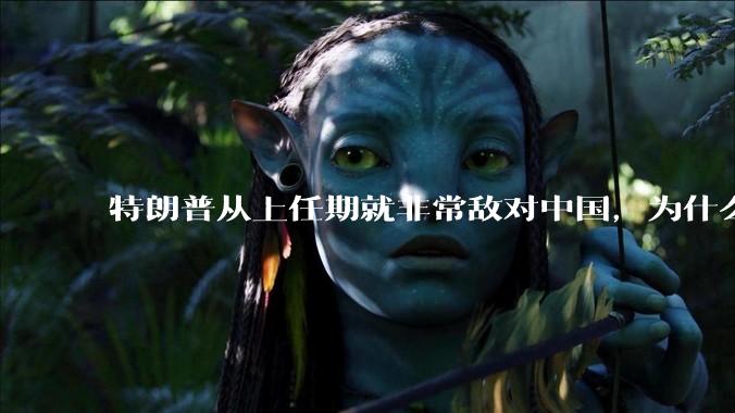特朗普从上任期就非常敌对中国，为什么大选时中国国内很多人支持他当选，支持他的中国人是个什么群体？