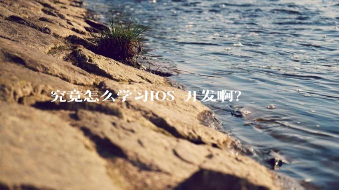 究竟怎么学习IOS 开发啊？